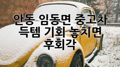 안동 임동면 중고차, 득템 기회 놓치면 후회각! 😲