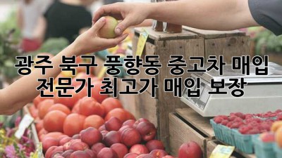 광주 북구 풍향동 중고차 매입 전문가: 최고가 매입 보장!
